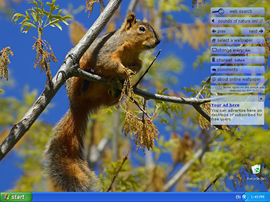 Screenshot of Nature Online Wallpapers 2.1